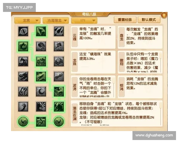 深入解析龙宫职业加点五大要素打造最强输出与生存完美兼顾的终极指南